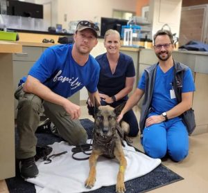 K9 Dani with veterinary staff.