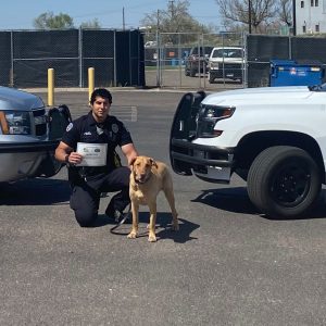 Shelter Dog Turned K9 Hero